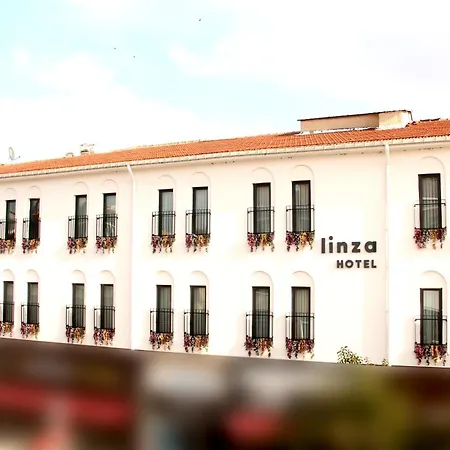 Linza